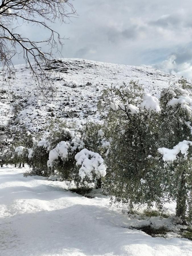 Al Casolare Otel Ofena Dış mekan fotoğraf